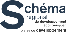 Sch&eacute;ma r&eacute;gional de d&eacute;veloppement &eacute;conomique : pistes de d&eacute;veloppement