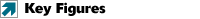 > Key Figures