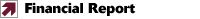 > Financial Report